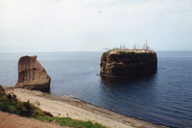 BONAVENTURE (Quebec)